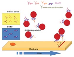 Rapid heparin-induced thrombocytopenia exclusion test