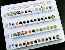 Manual identification in microbiology and virology