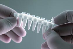 Strip tubes for polymerase chain reaction methods