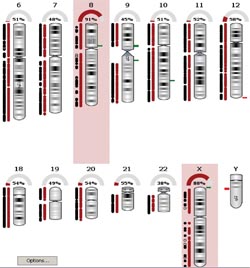 Pooling expertise in genetic testing: an innovative approach to NHS cytogenetics