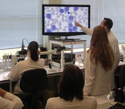 High-definition haematology at the Royal Berkshire Hospital