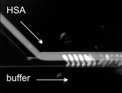 Microfluidic sample delivery technology: the P3SENS consortium makes headway