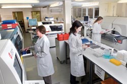 High-speed laboratory network: Morecambe Bay reaps the benefits of automation