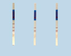 Rapid dipstick test for MRSA