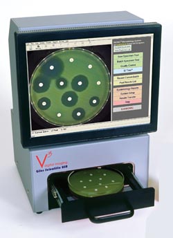 Automated antibiotic susceptibility testing