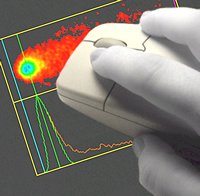 Comet assay software on 30-day trial