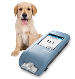 On-the-spot test breeds success in veterinary medicine