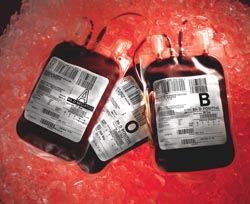 To err is human: adverse events in blood transfusion