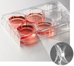 Innovation in cell culture