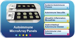 Microarray for autoimmunity