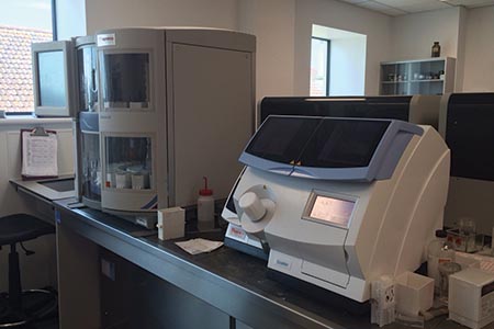 Coverslipping for high-quality immunohistochemistry: an automated experience