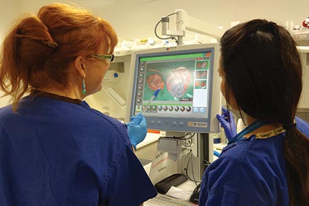 Macro digital imaging for advanced perinatal  post-mortem investigations 