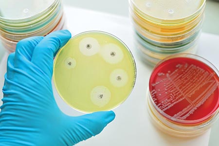 Where are we now in the fight to combat increasing antimicrobial resistance?