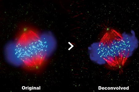 Faster image analysis with improved capabilities