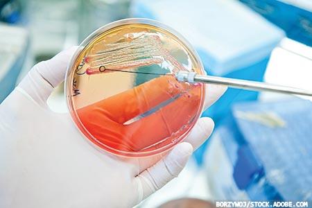 Are we making progress  in the battle against  antimicrobial resistance?