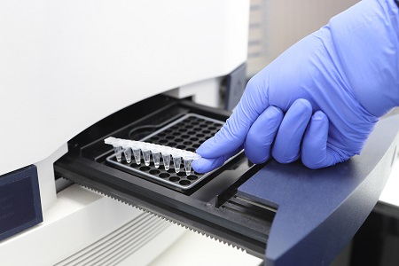 Carbapenemase detection: a new molecular test 
