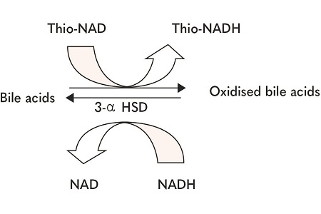 Fifth-generation bile acids assay: some key features