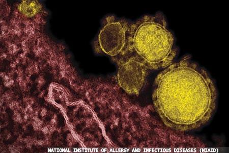 Coronaviruses in the literature: another beast from the Orient