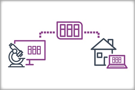 Free remote pathology solution for healthcare institutions affected by COVID-19