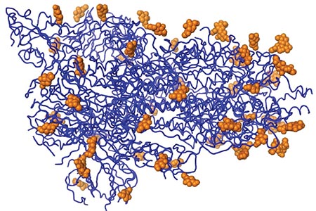 Developing diagnostics for SARS-CoV-2: the role of reagents