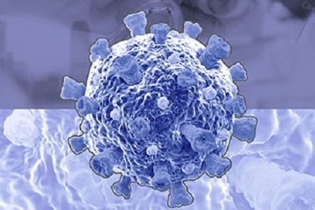 SARS-CoV-2 kit for research into measuring the T-cell immune response