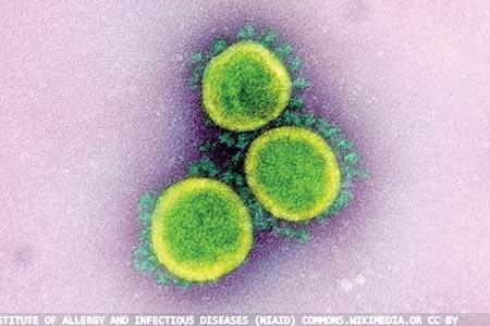 SARS-CoV-2 coronavirus  and COVID-19 disease:  the pandemic so far