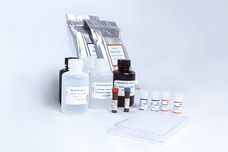 Accurate quantitative SARS-CoV-2 antibody test kit