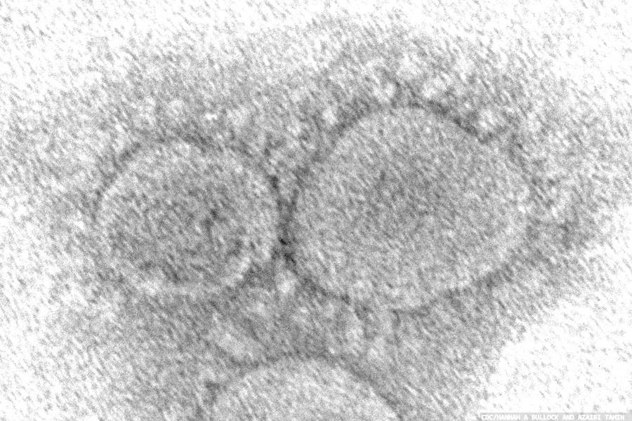 Analysis of interactions at the heart of SARS-CoV-2