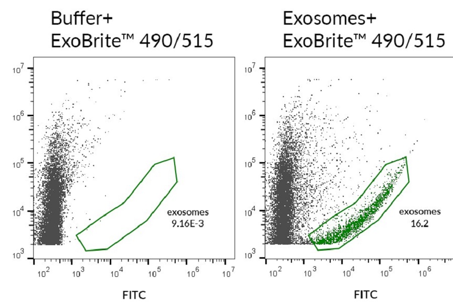 Optimised solution for exosome detection by flow cytometry