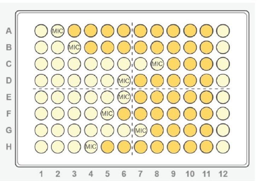 Automated pipetting solutions that assist antibiotic development