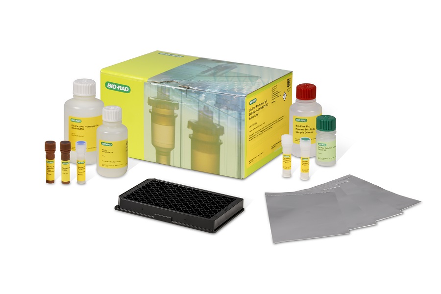 Immunoassay panels to study SARS-CoV-2 antibody response