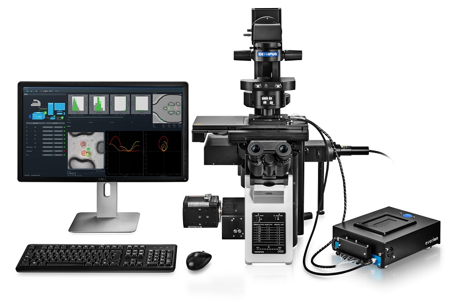 Joining forces to advance cell therapy research