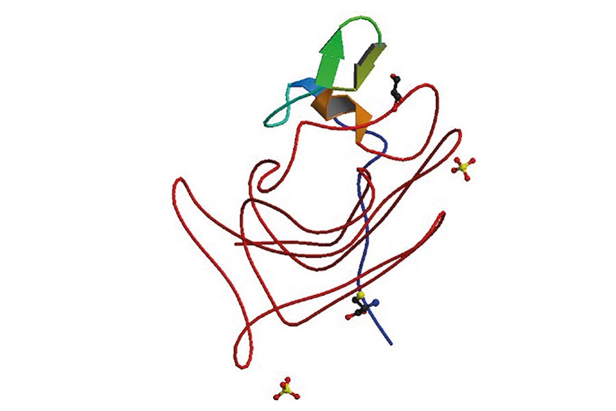 Haemophilia: some research reported in the current literature