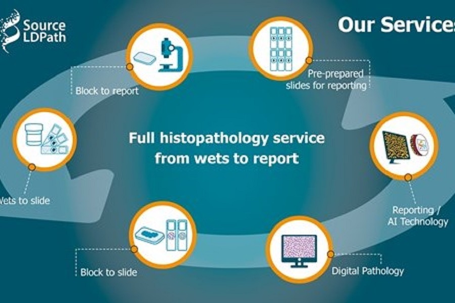 Digital approach to pathology in East Kent