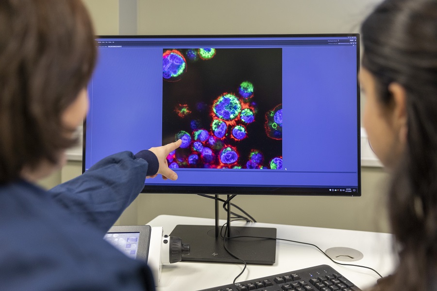 Medicines Discovery Catapult and ZEISS focus on advancing microscopy