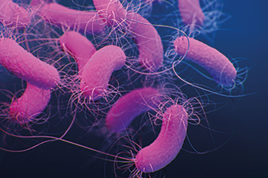 Infection risks and the environment: latest evidence for best practice