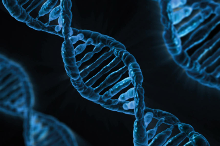 It’s in our DNA: unlocking the genetic code to create a biological revolution