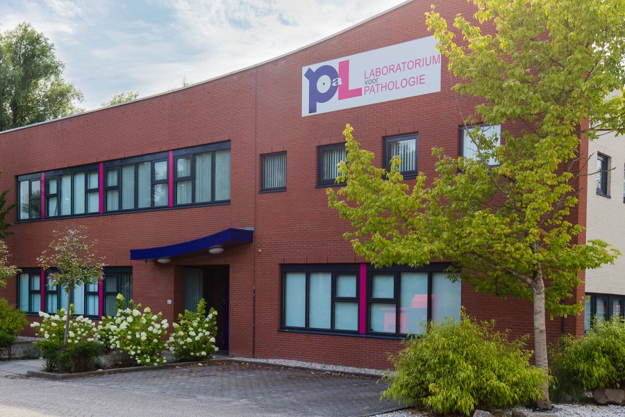 Netherlands laboratory launches AI study for breast cancer diagnosis