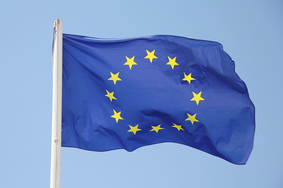 EC approves amended transitional provisions of the Medical Devices Regulations