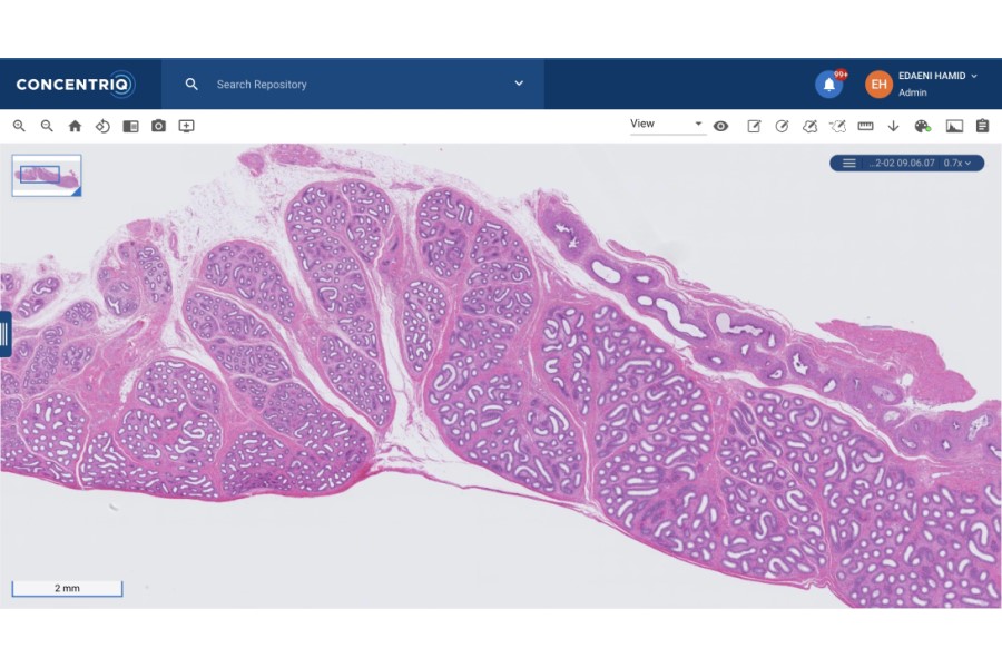 Proscia strengthens position in preclinical R&D