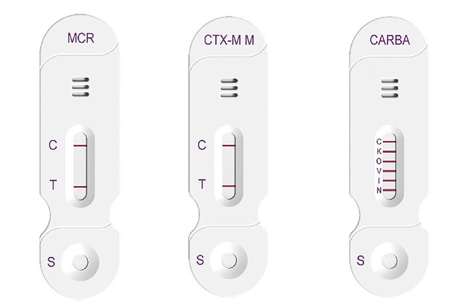 Lateral flow immunoassays – a new era of antimicrobial resistance detection