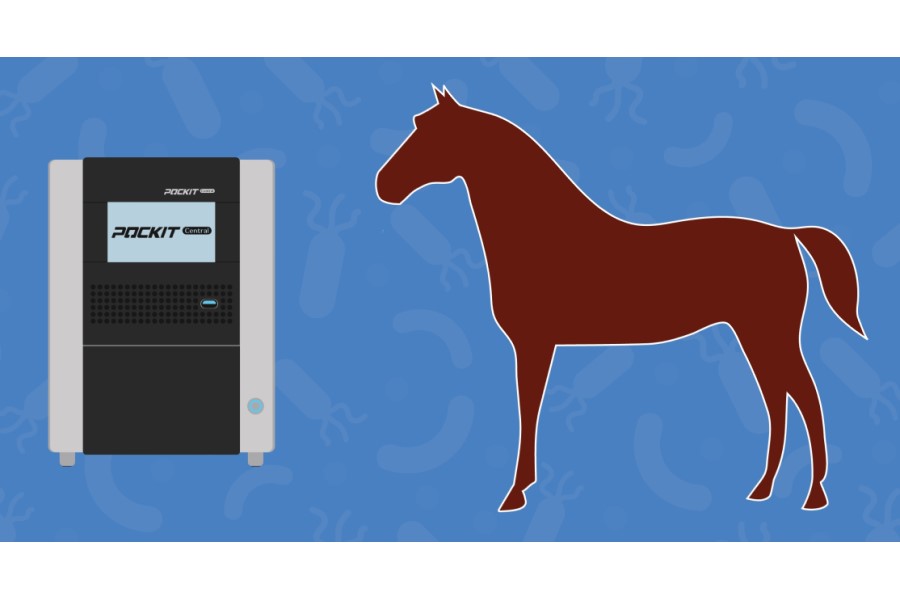 HORIBA introduces simple in-house PCR test for faster strangles diagnosis.