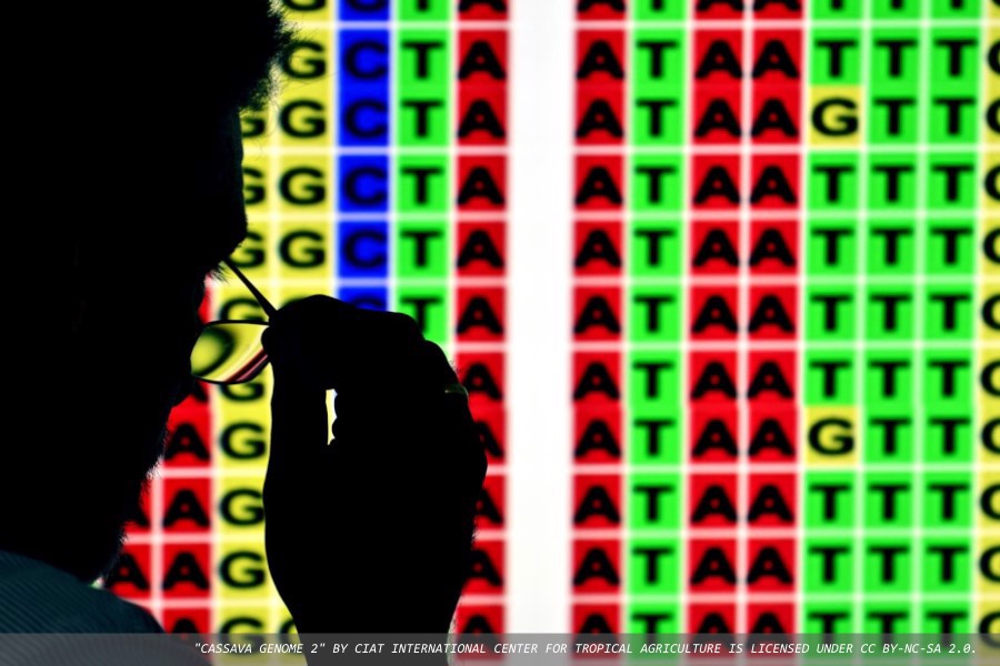 Genomic testing for rare disease: a two-week online course