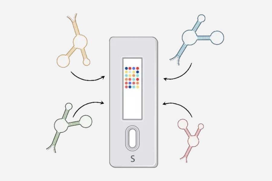 EDX Medical acquires Hutano Diagnostics, and announces new POC test developments