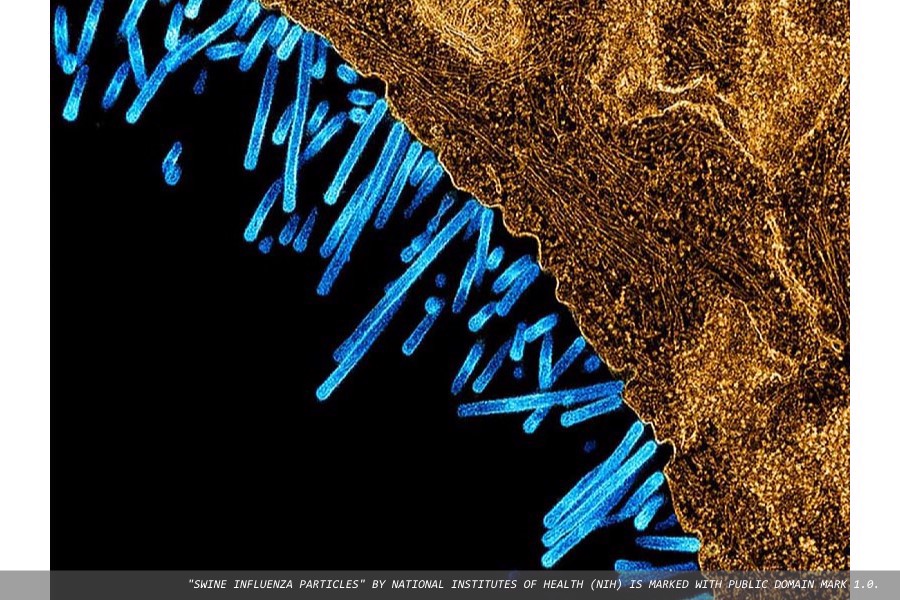 UKHSA detects human case of influenza A(H1N2)v