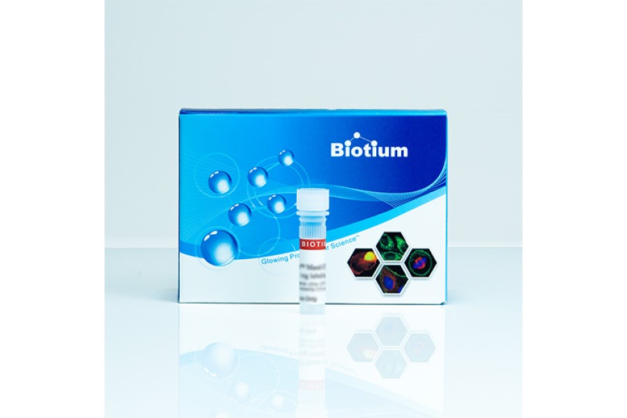 Biotium launches new line of primary antibody conjugates for flow cytometry