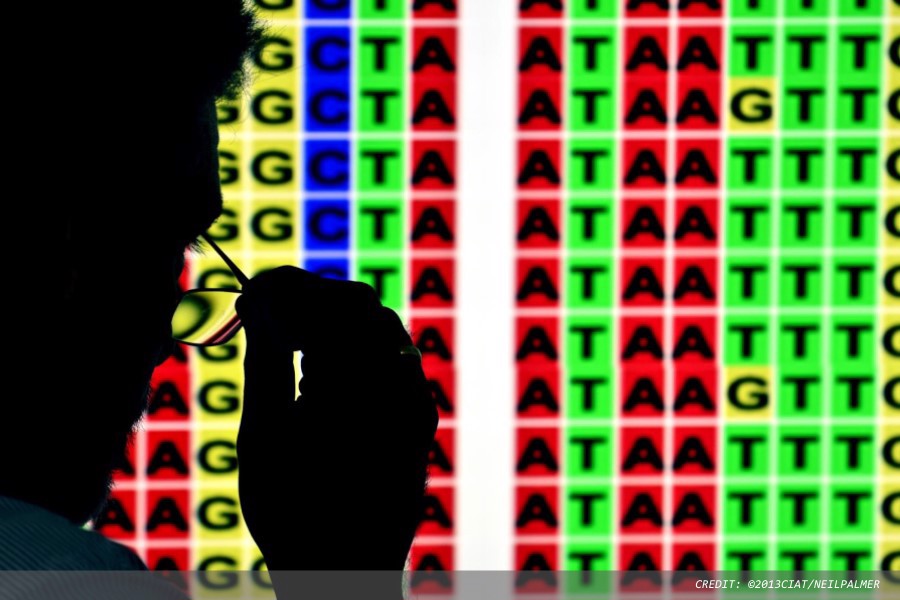 Landmark study supports whole genome sequencing in standard cancer care