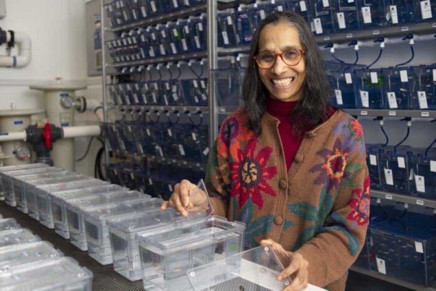 Lalita Ramakrishnan awarded 2024 Robert Koch Prize