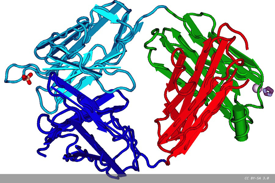 Rapid bispecific antibody prototyping and screening services added to Pioneer Antibody Discovery Platform