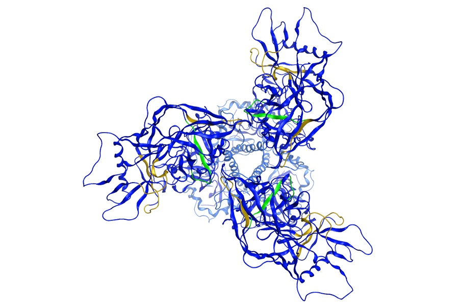 MIP Discovery rebrands as Tozaro to focus on CGT bioprocessing